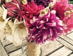 Dahlias, Summer Flowers, Michelle Madonna Designs
Michelle Madonna Design
Southampton, NY