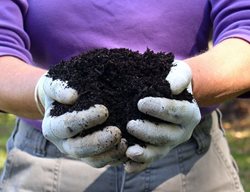 Damp Compost Pile
Garden Design
Calimesa, CA