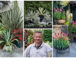 Dan Benarcik And Container Displays
Garden Design
Calimesa, CA