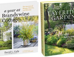 David Culp Books
Garden Design
Calimesa, CA