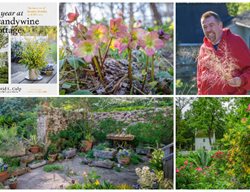 David Culp Collage
Garden Design
Calimesa, CA