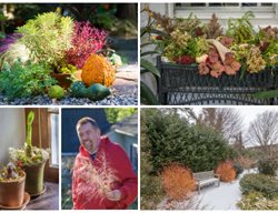 David Culp November Webinar
Garden Design
Calimesa, CA