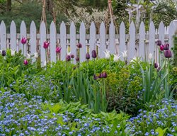 David Culp Webinar 2026
Garden Design
Calimesa, CA