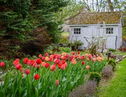 David Culp Webinar 2026
Garden Design
Calimesa, CA