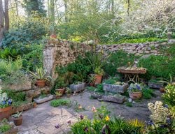 David Culp Webinar 2026
Garden Design
Calimesa, CA