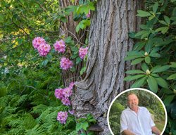 David Culp Webinar
Garden Design
Calimesa, CA