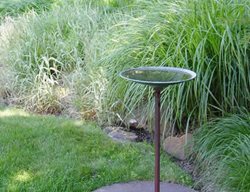 Deal
Johnsen Landscapes & Pools
Mount Kisco, NY