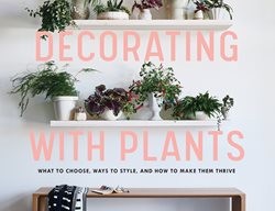 Decorating With Plants, Houseplant Book
Baylor Chapman
New York, New York