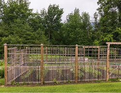 Deer Fence
Garden Design
Calimesa, CA