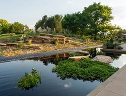 Denver Botanical Garden, Steppe Garden, Denver Garden
Garden Design
Calimesa, CA