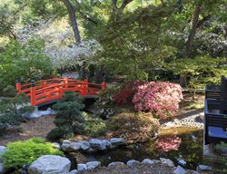 Descanso Gardens, Red Bridge, Japanese Style Garden
Shutterstock.com
New York, NY