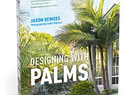 Designing With Palms
Garden Design
Calimesa, CA