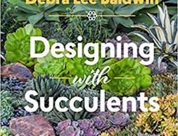 Designing With Succulents, Debra Lee Baldwin
Timber Press
Portland, OR