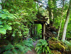 Details
Garden Design
Calimesa, CA
