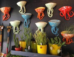 Digs
Garden Design
Calimesa, CA