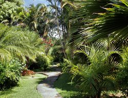 Discover Cuba
Garden Design
Calimesa, CA