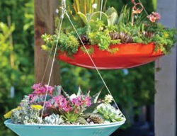 Dish Planters, Hanging Planters
Pot Incorporated
Vancouver, BC