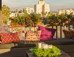 Diy Crate Table, Planter Table
Proven Winners
Sycamore, IL