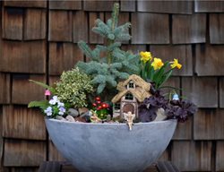 Diy Fairy Garden, Spring Fairy Garden
Garden Answer
