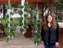 Diy Pipe Planter, Strawberry Planter
Garden Answer
