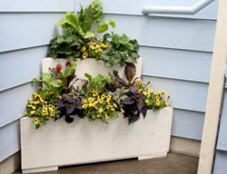 Diy Tiered Planter, Corner Planter
Proven Winners
Sycamore, IL