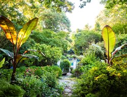 Dream Gardens
Garden Design
Calimesa, CA