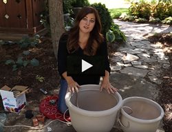 Drip Irrigation Video
Garden Answer
