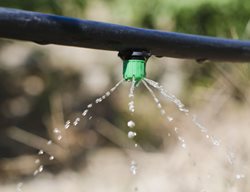 Drip Irrigation, Watering
Shutterstock.com
New York, NY