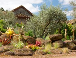 Drought Tolerant Rock Garden, Rock Garden With Tree
Garden Design
Calimesa, CA