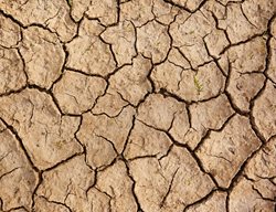 Dry Clay Soil, Clay Soil
Shutterstock.com
New York, NY