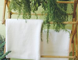 Drying Herbs, Hanging Herbs
St. Lynn's Press
Pittsburgh, PA