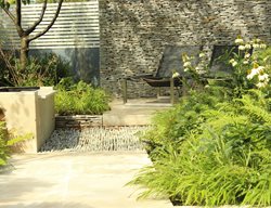 Dryopteris Wallichiana, Hakonechloa Macra, Stone Pathway
Daniel Shea Contemporary Garden Design
Norfolk, UK