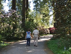 Dsc_1975
Garden Design
Calimesa, CA