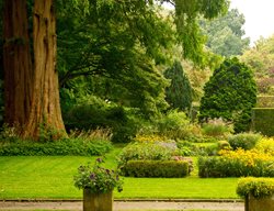 Dutch Garden, Mien Ruys Garden, Netherlands Garden
Carex Tours
Takoma Park, MD