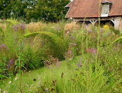 Dutch Tulips, Tour, Travel
Garden Design
Calimesa, CA