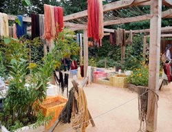 Dyers
Garden Design
Calimesa, CA