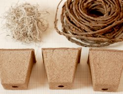 Easter Basket 2
Garden Design
Calimesa, CA