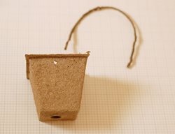 Easter Basket 3
Garden Design
Calimesa, CA