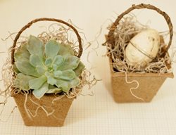 Easter Basket 5
Garden Design
Calimesa, CA