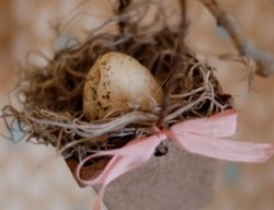 Easter Basket 6
Garden Design
Calimesa, CA