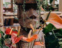 Easter Island, Replica Statue
Unsplash
