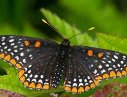 Ecology
Garden Design
Calimesa, CA