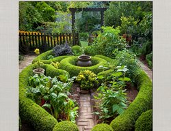 Elegant And Edible Garden Book
Garden Design
Calimesa, CA