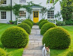 Element
Garden Design
Calimesa, CA
