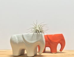Elephant Planter, Tabletop Planter
Potted
Los Angeles, CA