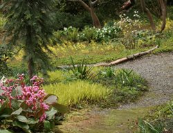 Elisabeth C. Miller Botanical Garden
Garden Design
Calimesa, CA