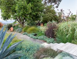 Encinitas, Water Wise Garden
Debora Carl Landscape Design
Encinitas, CA