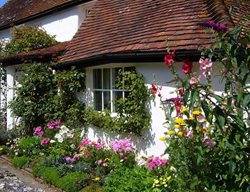 English
Garden Design
Calimesa, CA
