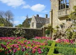 English Garden, Garden Tour, Pacific Horticulture Society
Garden Design
Calimesa, CA