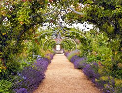 English Garden Path With Lavender
Shutterstock.com
New York, NY